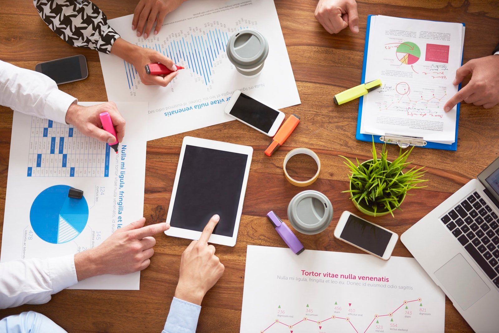 Web Development